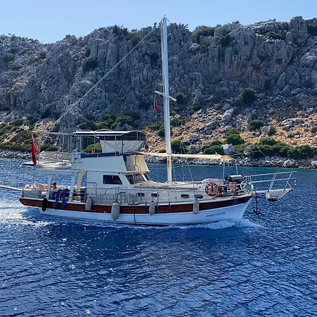 Junior Ogulcan Yachting 船屋 *